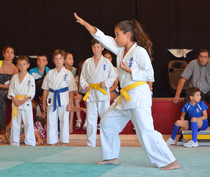 Karate-Assoc_8-9-14