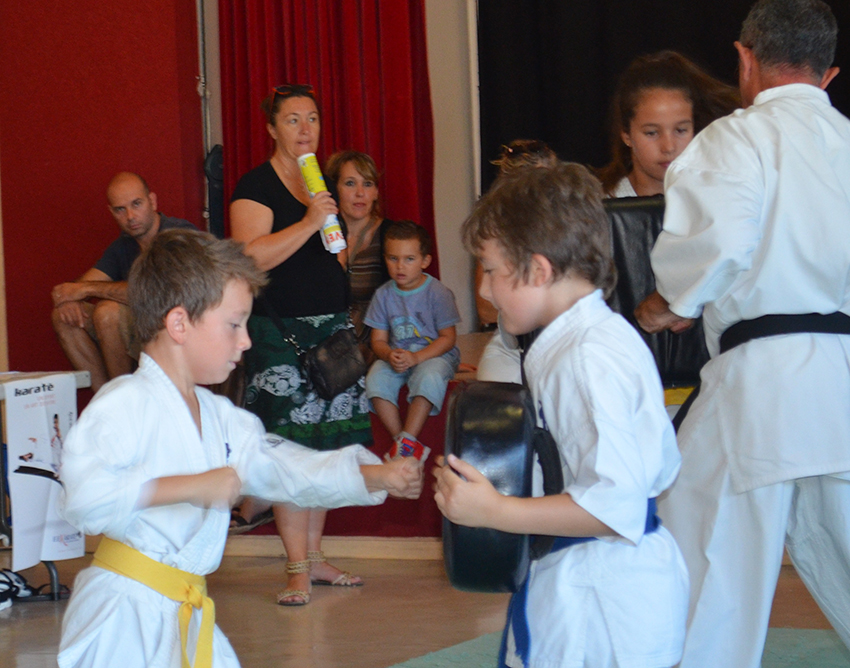 Karate-Assoc_8-9-14