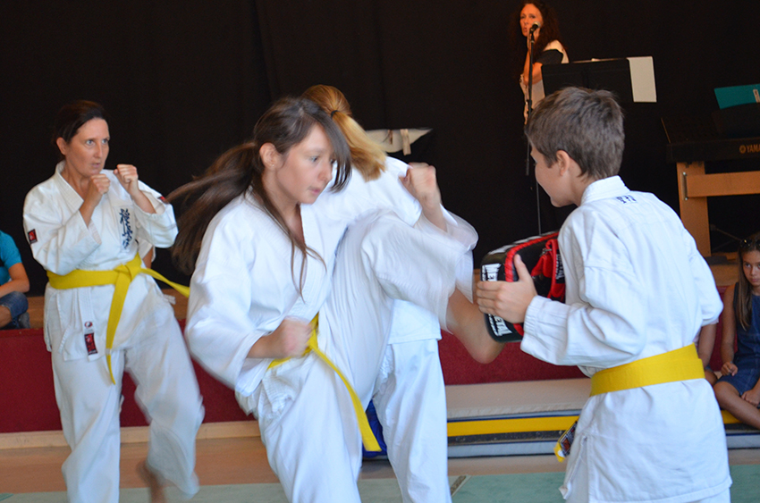 Karate-Assoc_8-9-14
