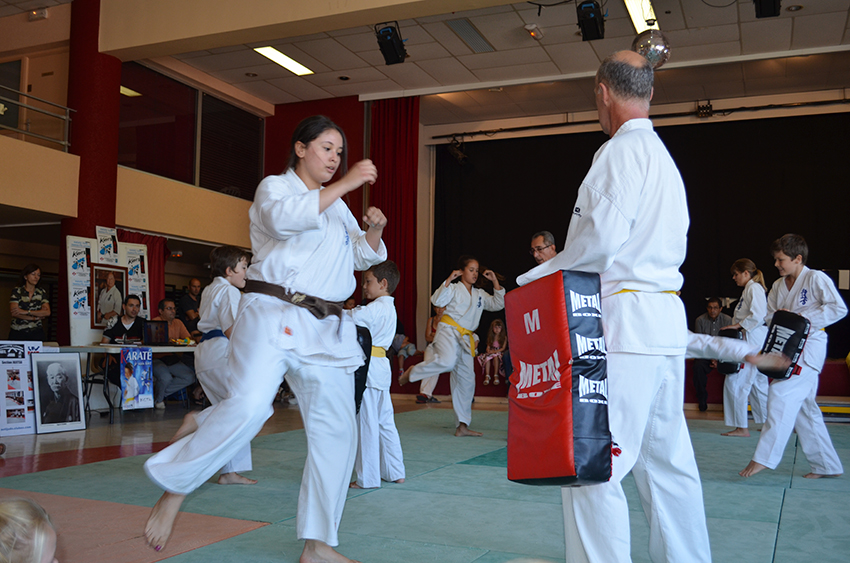 Karate-Assoc_8-9-14