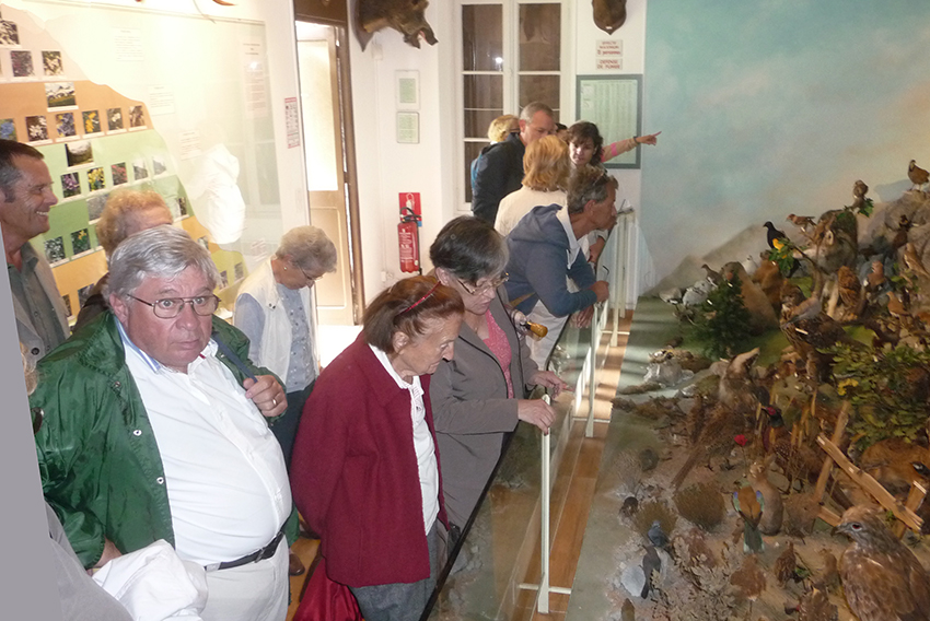 Villes-France_Chateau_7-10-14