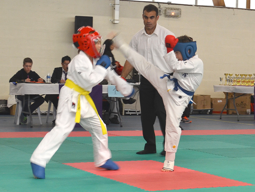 Karatekas_21-11-2014