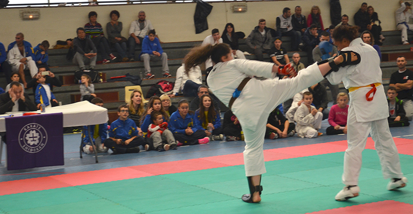 Karatekas_21-11-2014
