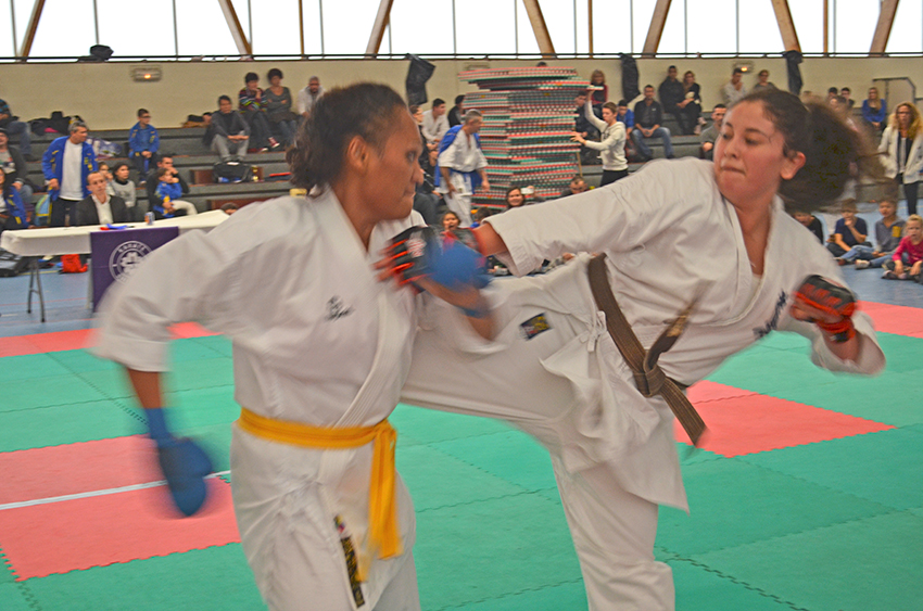 Karatekas_21-11-2014