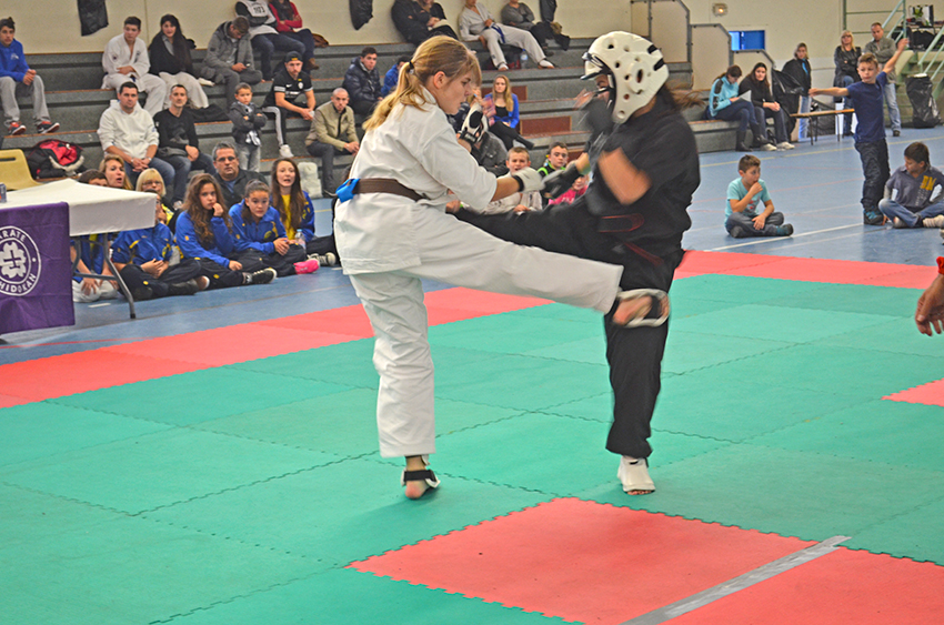 Karatekas_21-11-2014