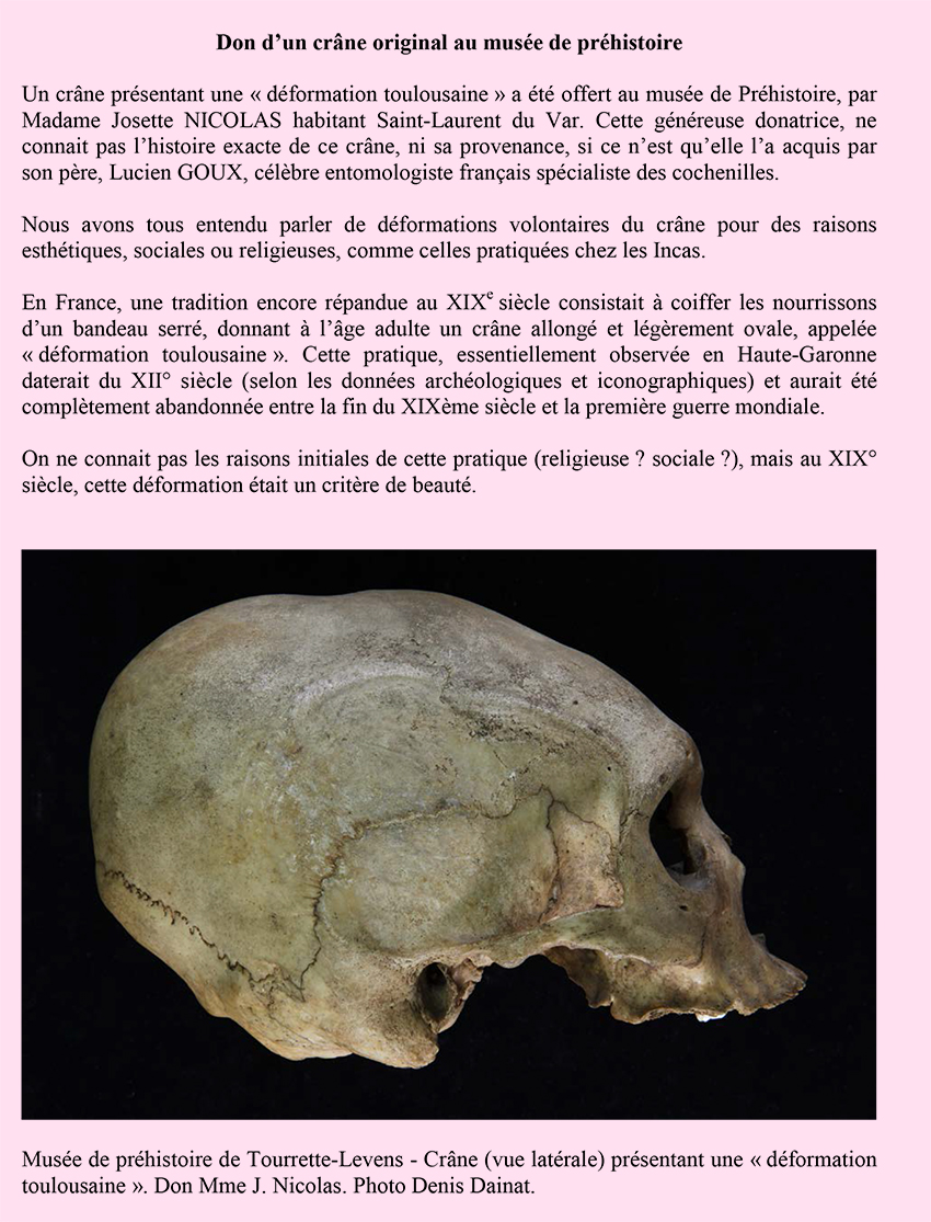 Prehistoire-Crane_7-12-14