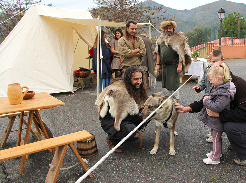 AFM Vikings_6-12-14