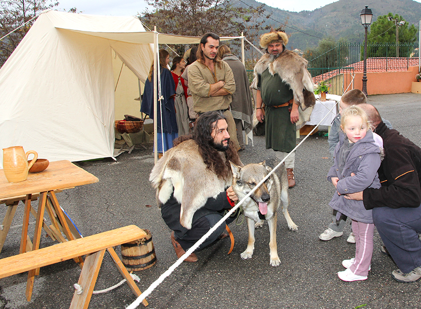 AFM Vikings_6-12-14