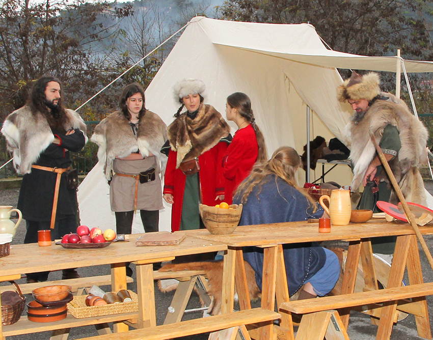AFM Vikings_6-12-14