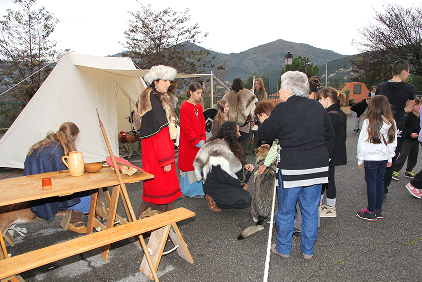 AFM Vikings_6-12-14