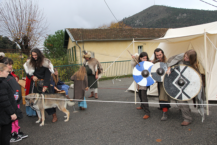 AFM Vikings_6-12-14