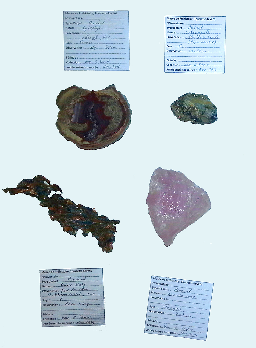 Collection Raymond Savin