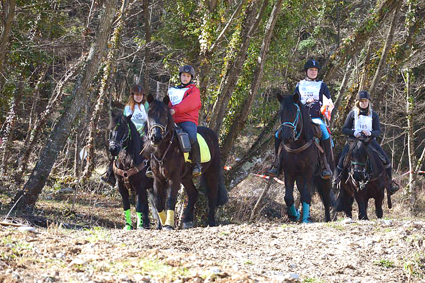 Trec-hippique_13-3-15