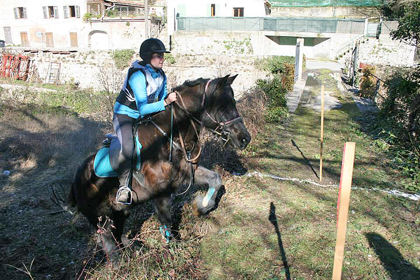 Trec-hippique_13-3-15