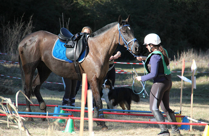 Trec-hippique_13-3-15