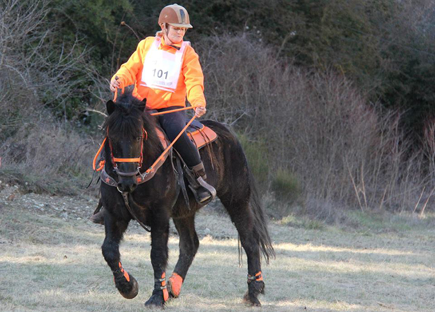 Trec-hippique_13-3-15