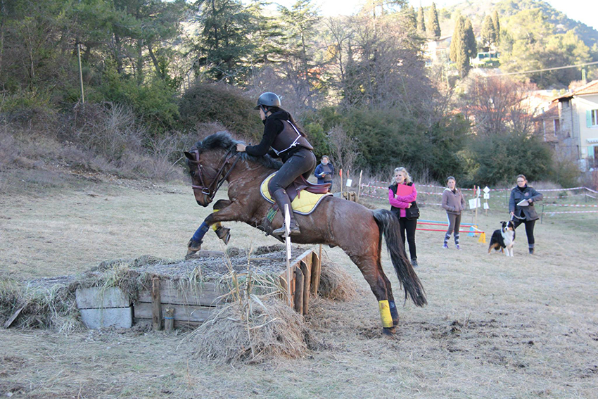 Trec-hippique_13-3-15