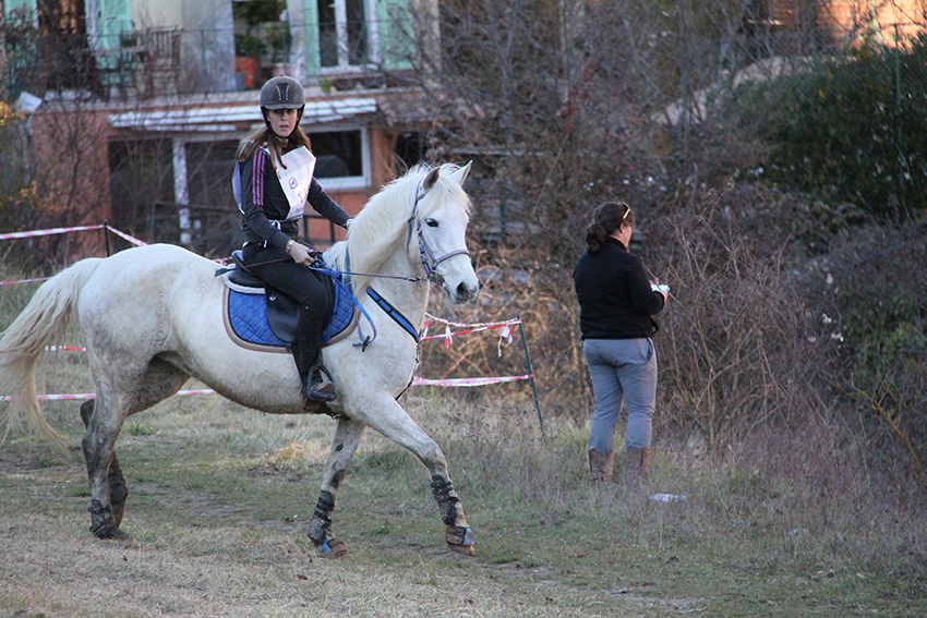 Trec-hippique_13-3-15