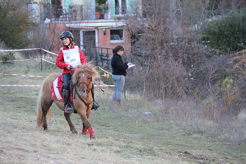 Trec-hippique_13-3-15