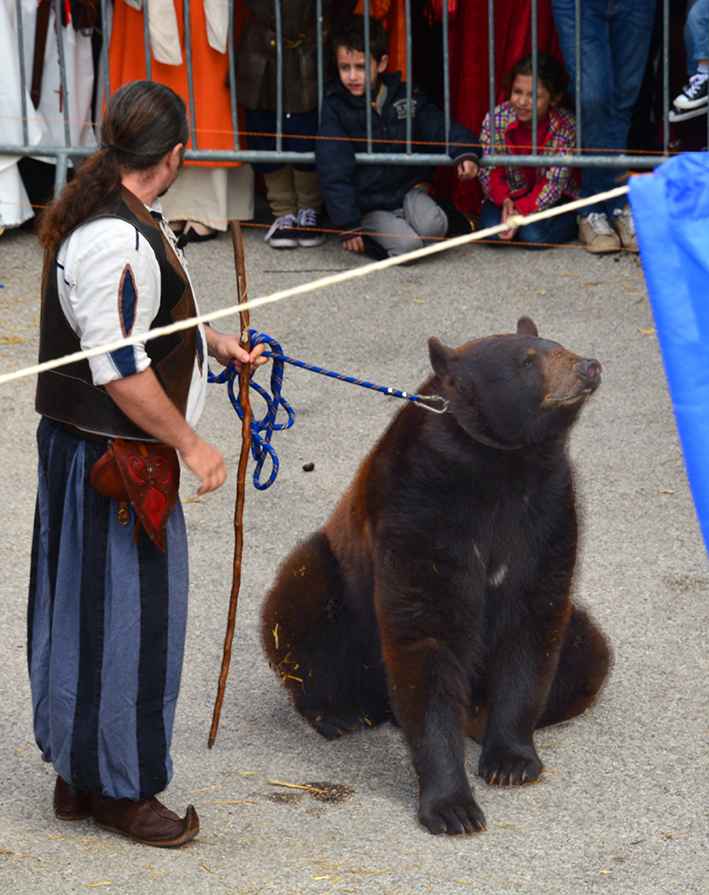 Fête médiévale 2015