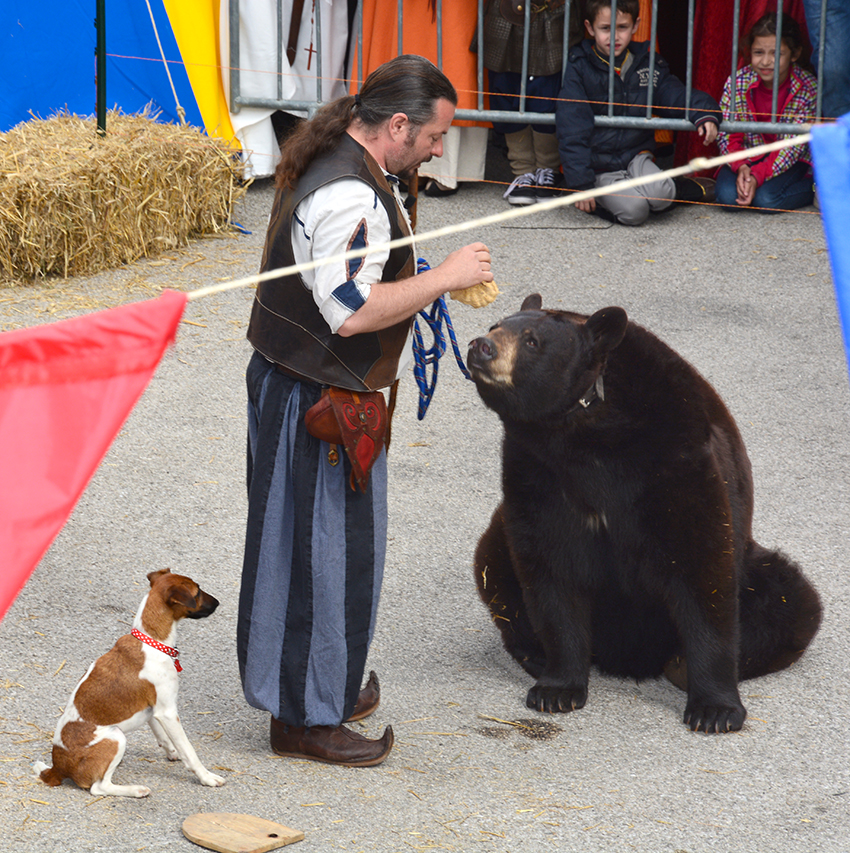 Fête médiévale 2015