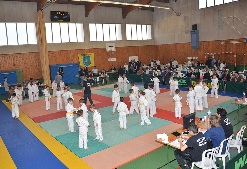 Judo 12-4-15