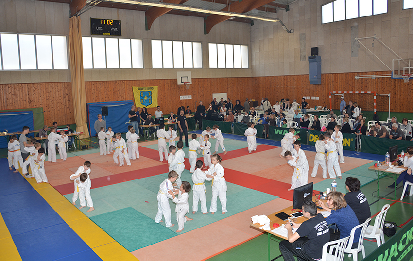 Judo 12-4-15