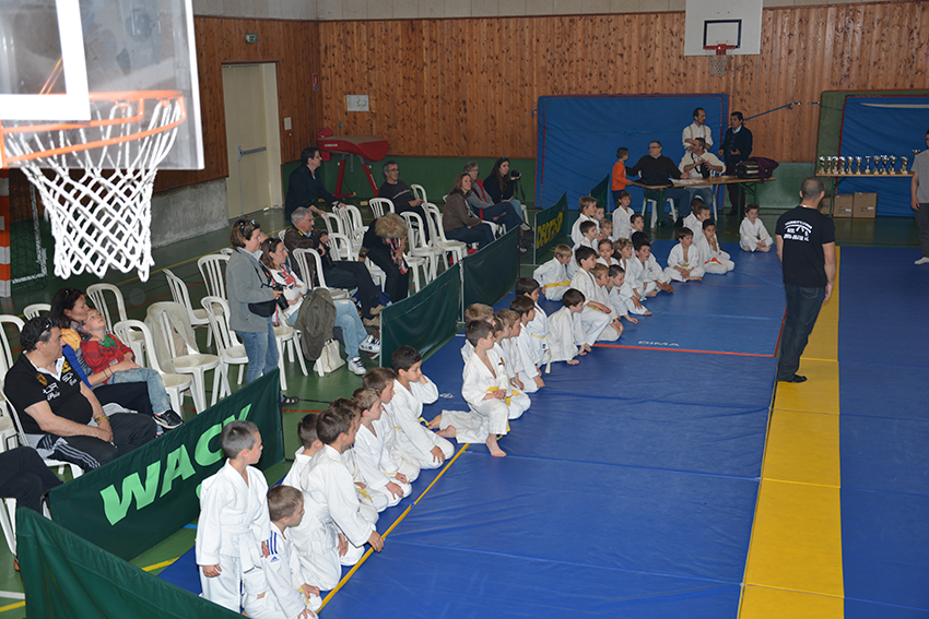 Judo 12-4-15