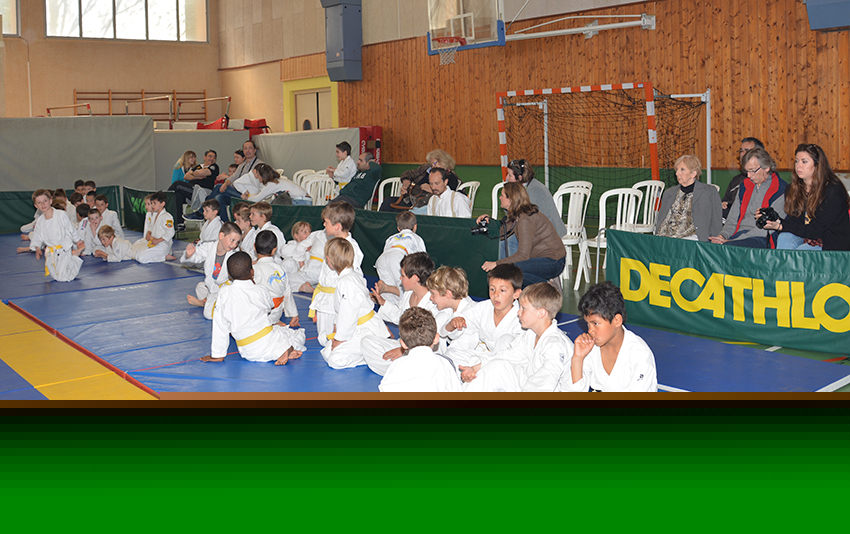 Judo 12-4-15