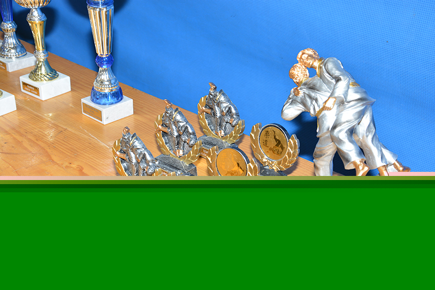 Judo 12-4-15