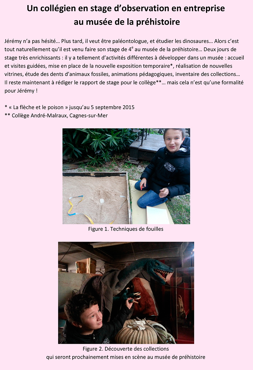 Stage-Jeremy-Hollebecque