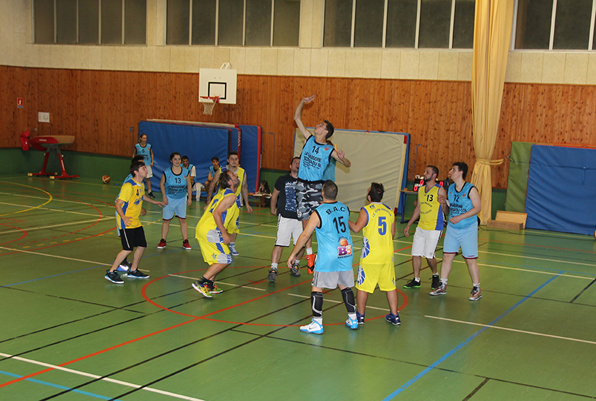 Basket_13-11-15