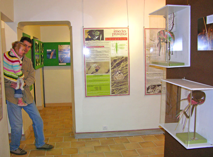 Insectes aux Remparts