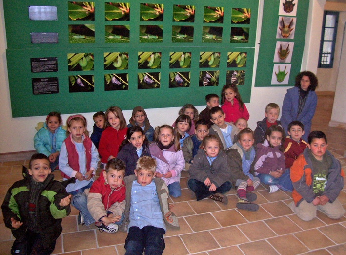 Maternelle aux Remparts