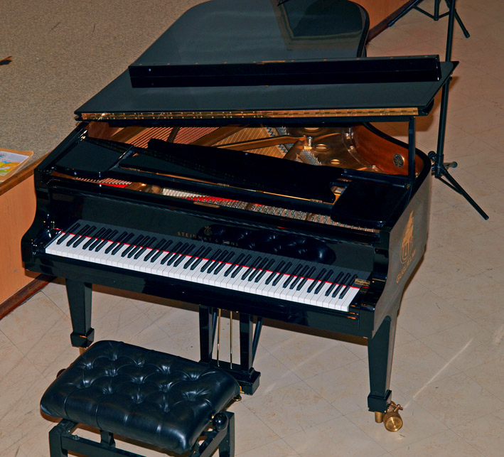Concert Lions