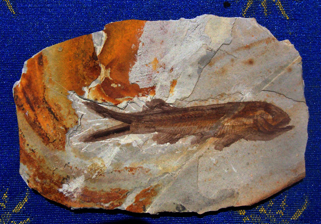 Géologie