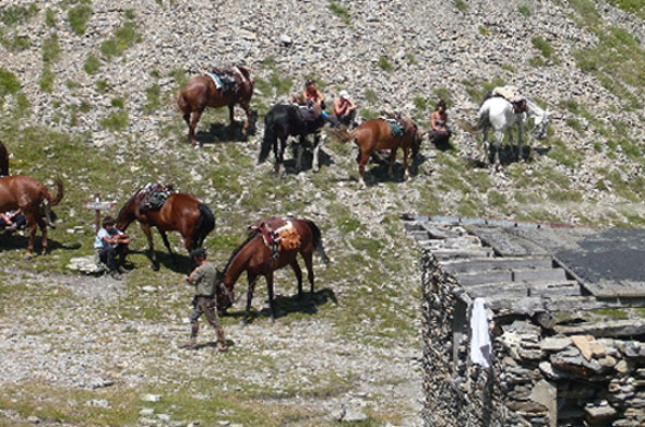 Queyras