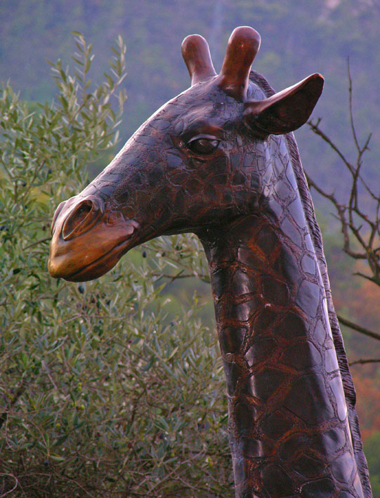 Girafe