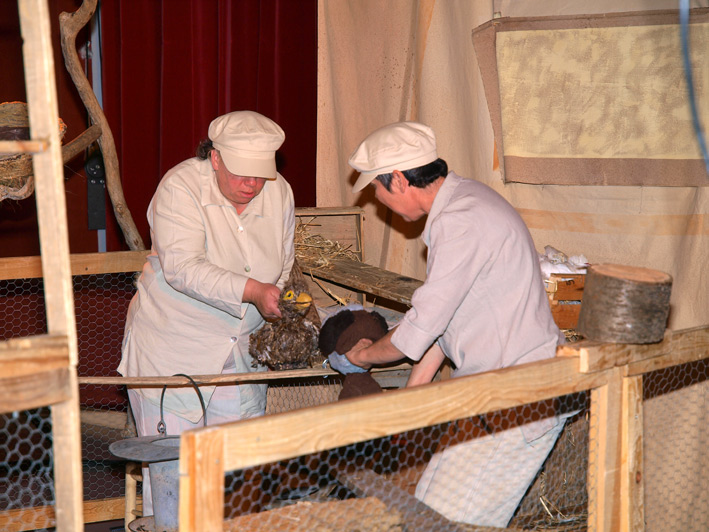 Spectacle pour les maternelles