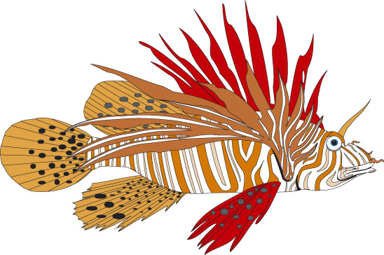 poisson