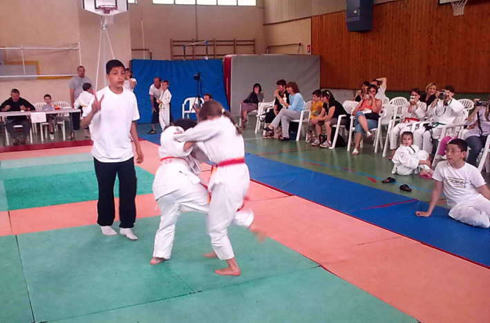 Tournoi "Julien Camoin" de judo