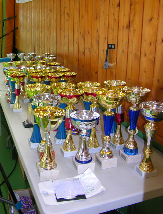 Tournoi "Julien Camoin" de judo
