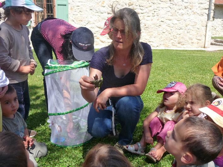 Maternelle et papillons