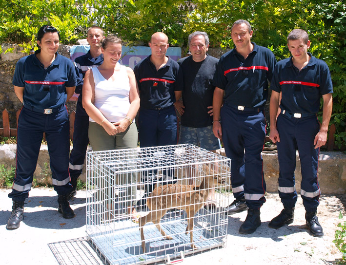 Biche à la Gabre