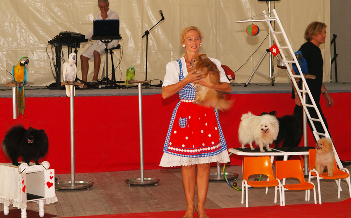Chiens savants